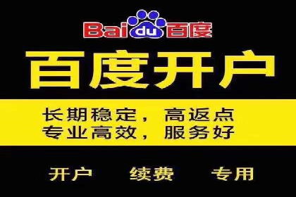 sem百度竞价策略在移动端的成功应用案例